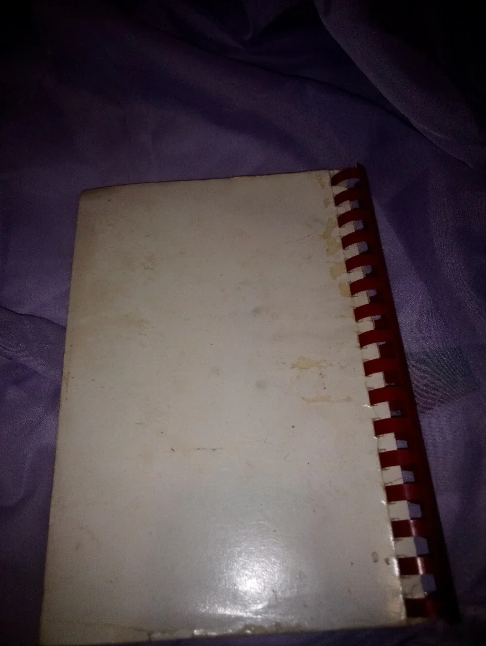 1973 Cookbook Ajo Arizona Elks Ladies